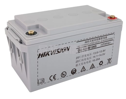 UPS电池组(3KVA)/DS-IUHB1265/D(组)(8个)(标配)